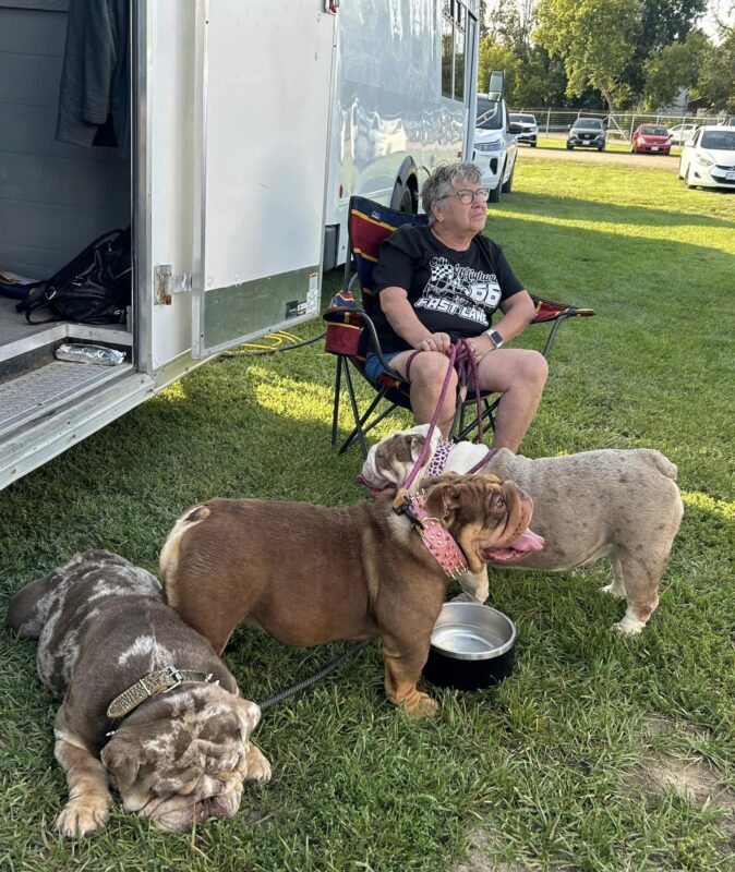 champion-bulldoggen.com