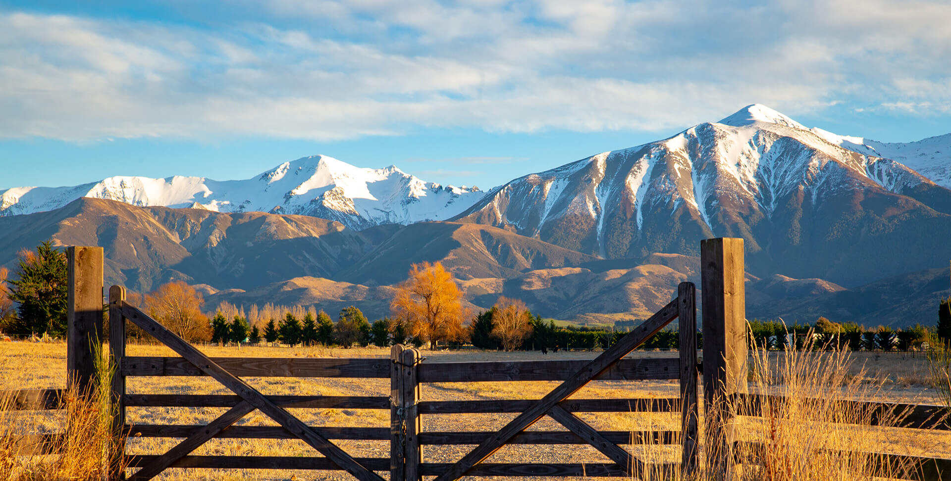 ruralhq.co.nz