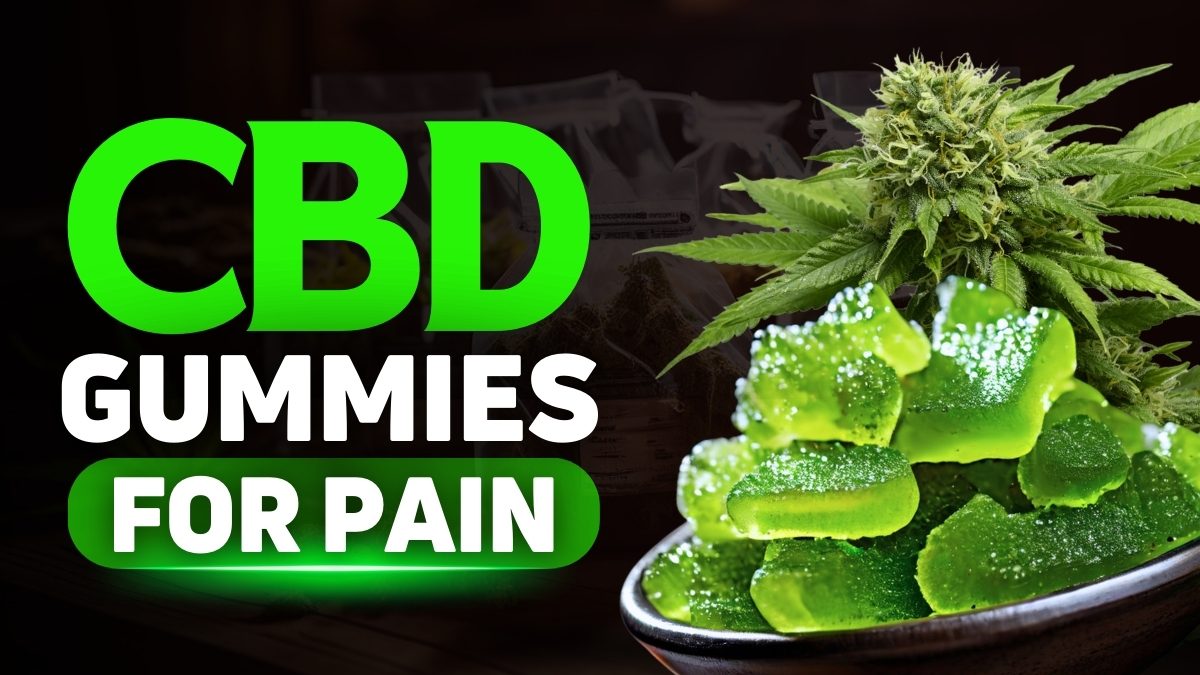 CBD Gummies for Pain in 2024: Best Picks for Joint, and Knee Pain ...